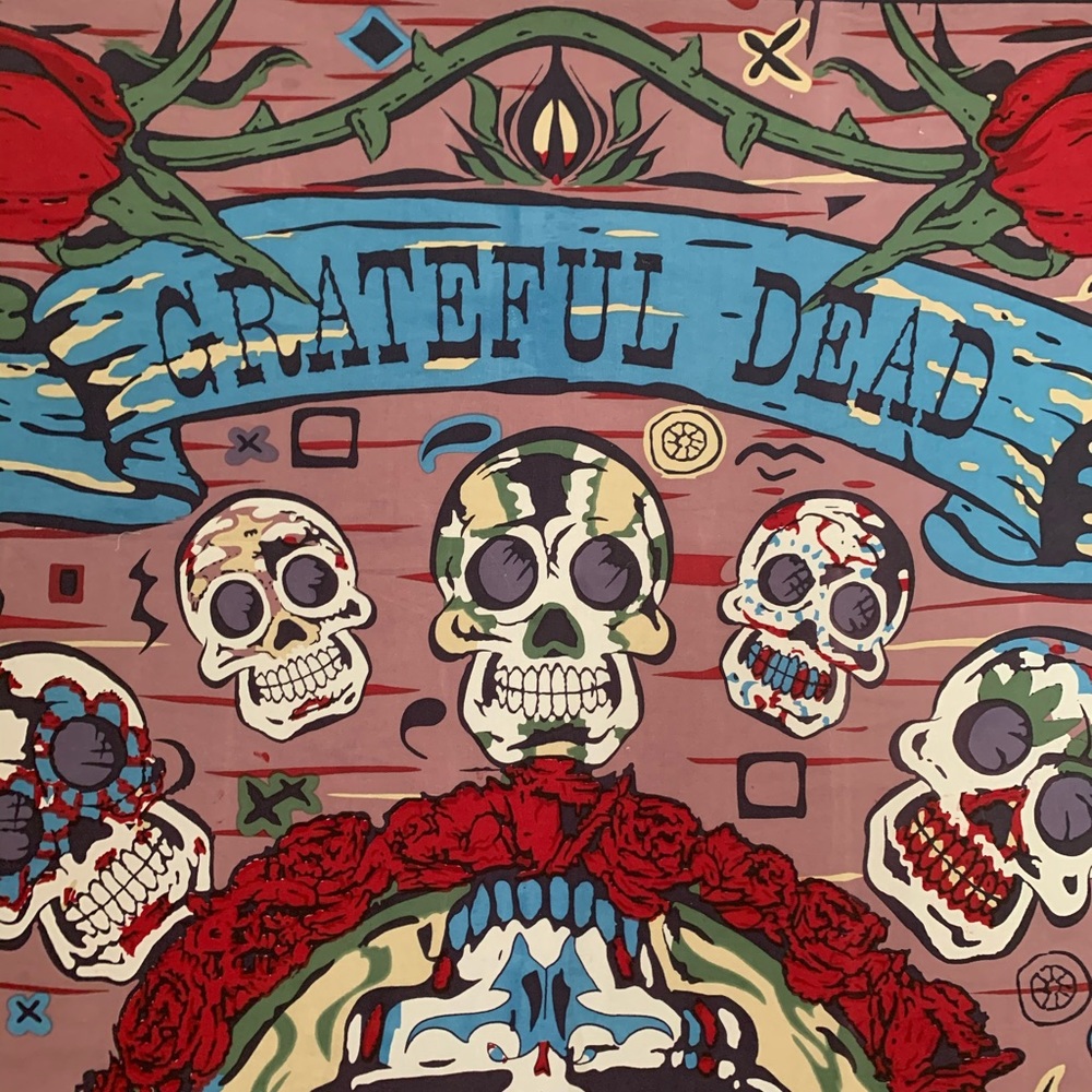 Vintage Grateful Dead tapestry